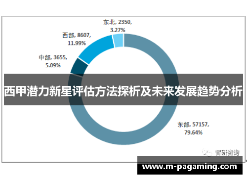 西甲潜力新星评估方法探析及未来发展趋势分析