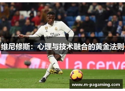 维尼修斯：心理与技术融合的黄金法则